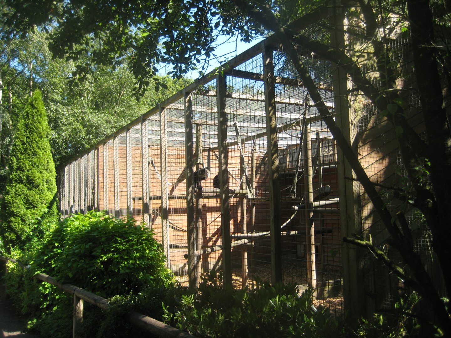 Skærup Zoo - Lion-tailed macaque exhibit