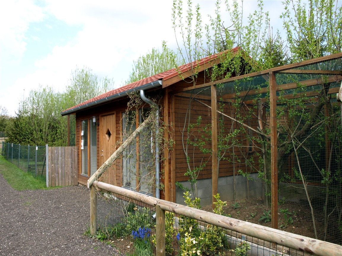 Skaerup Zoo - Marmoset exhibits
