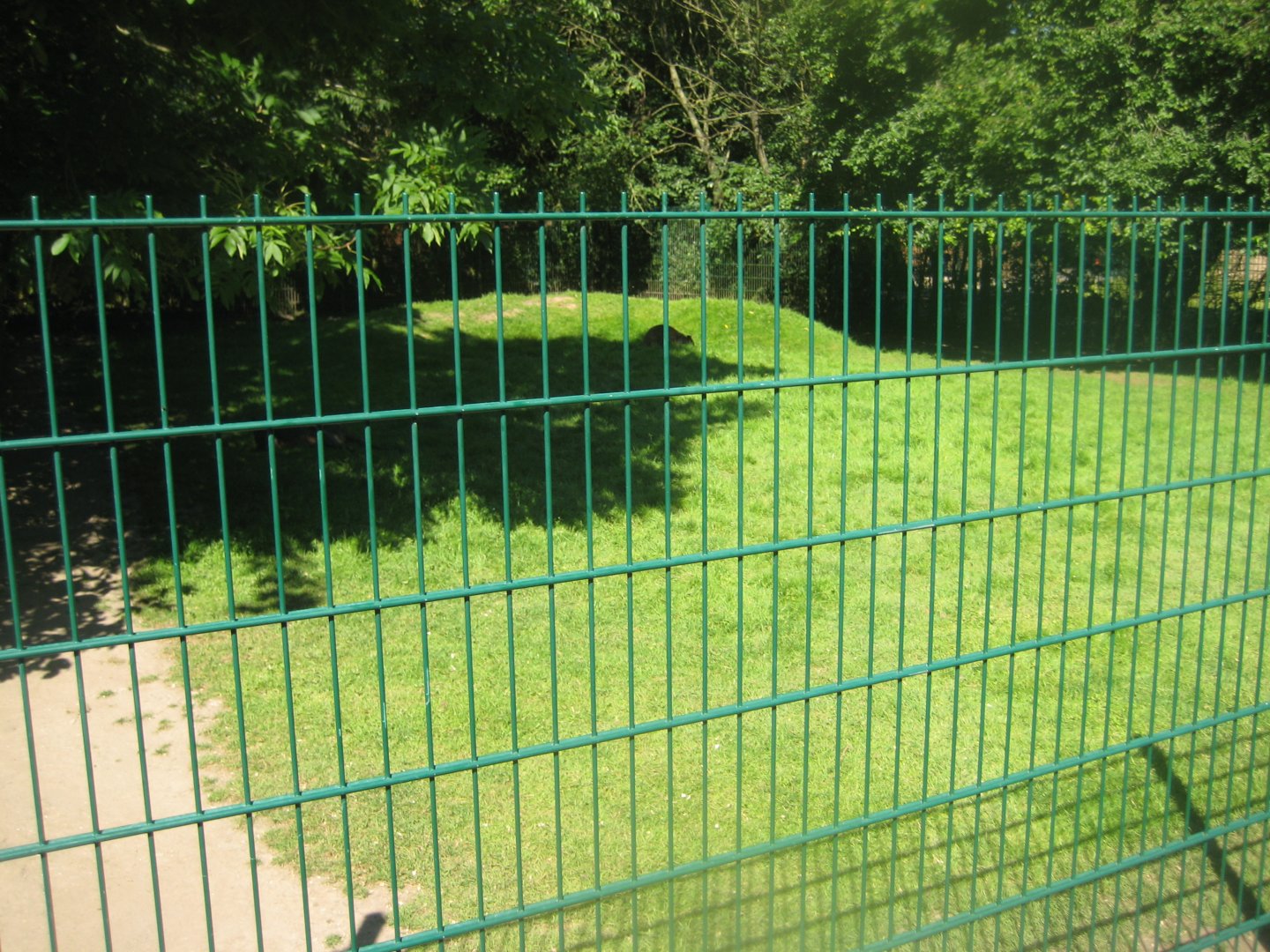 Skærup Zoo - Mixed wallaby exhibit