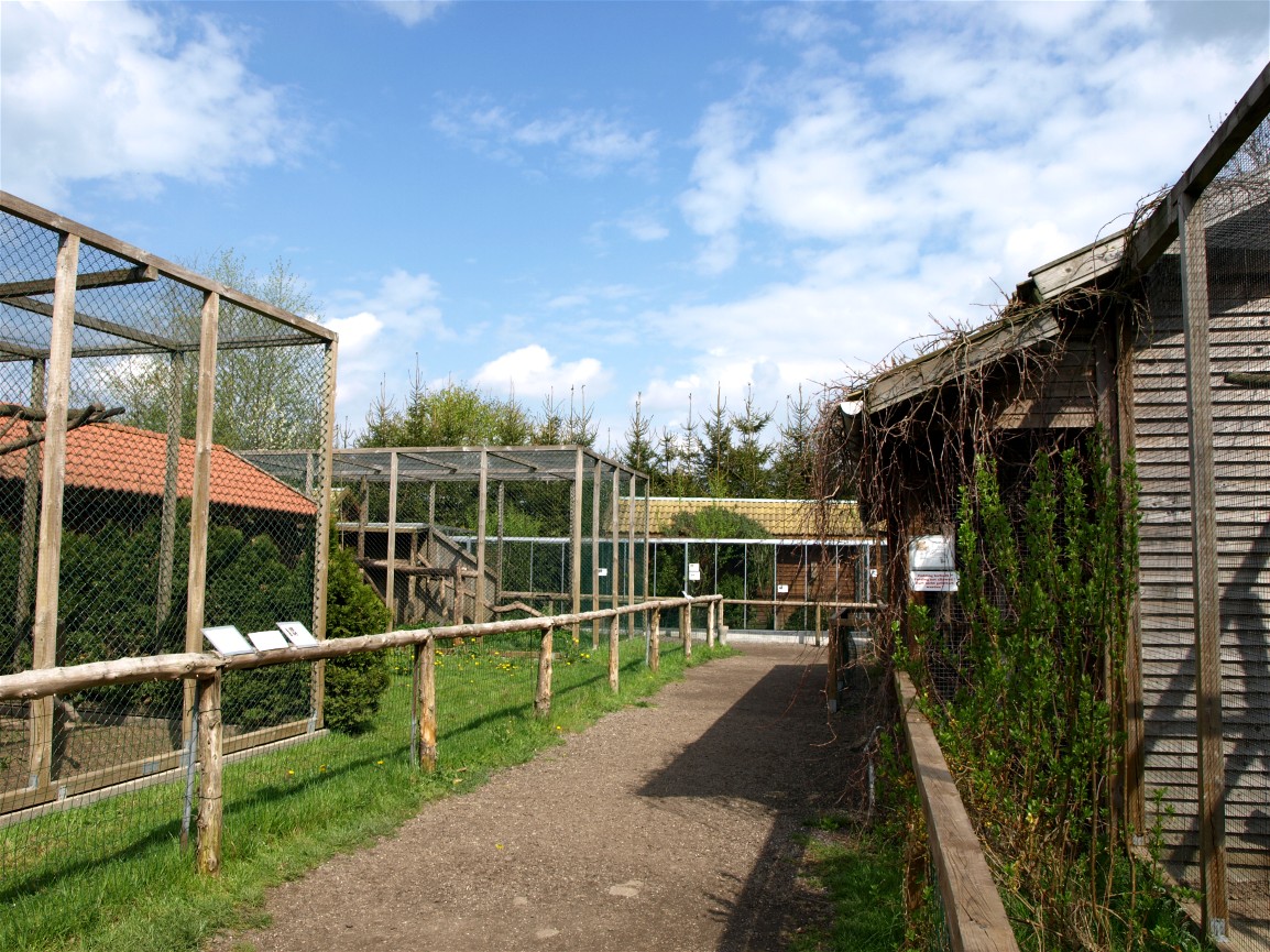 Skaerup Zoo - Monkey exhibits
