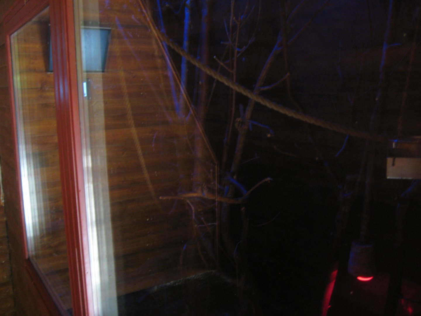 Skærup Zoo - Night exhibit