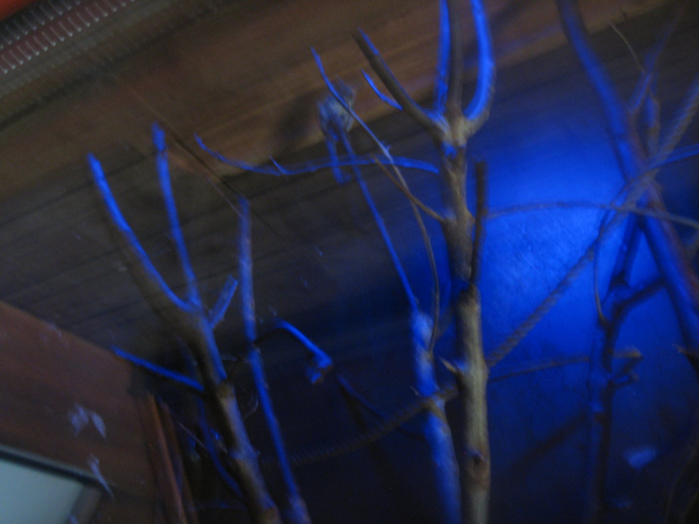 Skærup Zoo - Night exhibit