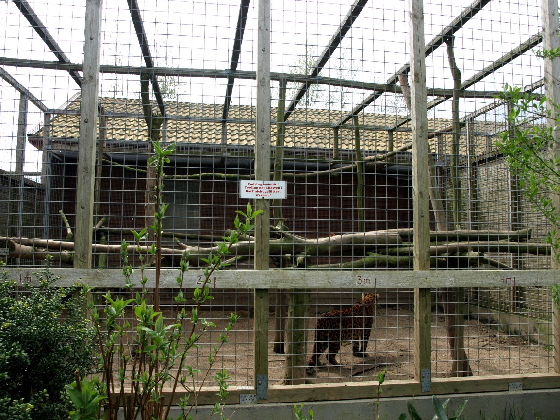 Skaerup Zoo - Old leopard exhibit