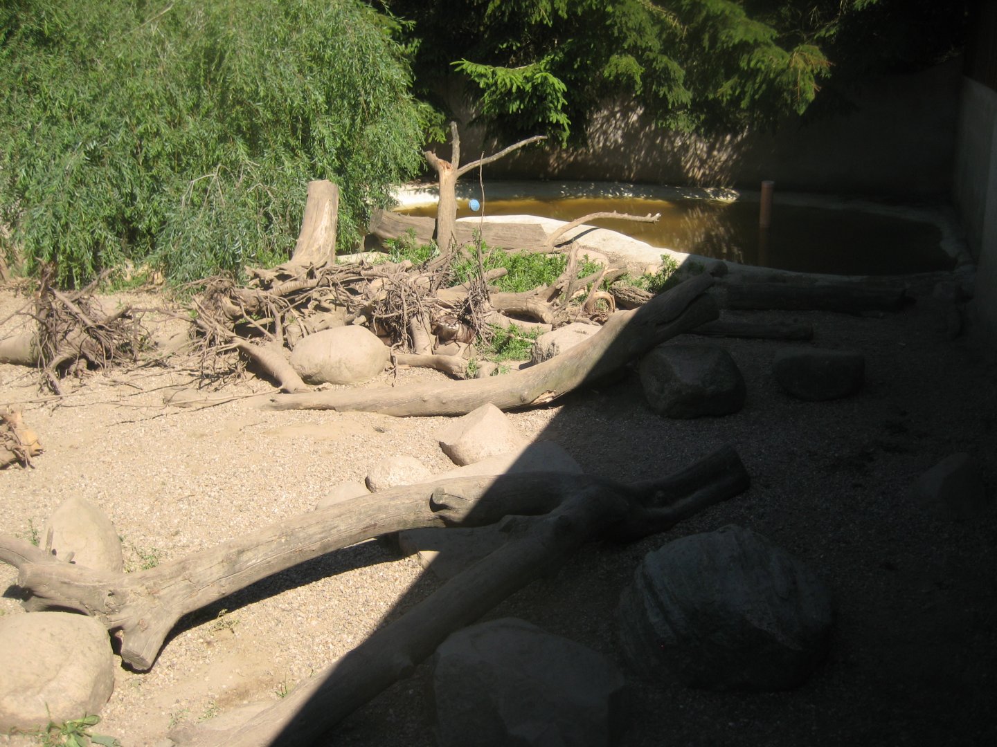 Skærup Zoo - Otter exhibit