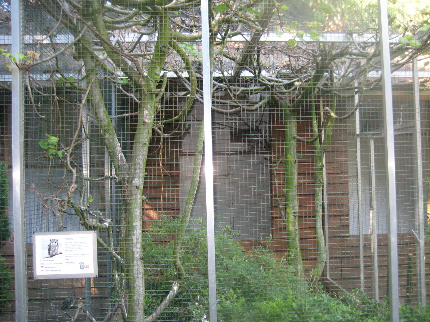 Skærup Zoo - Owl aviary #2