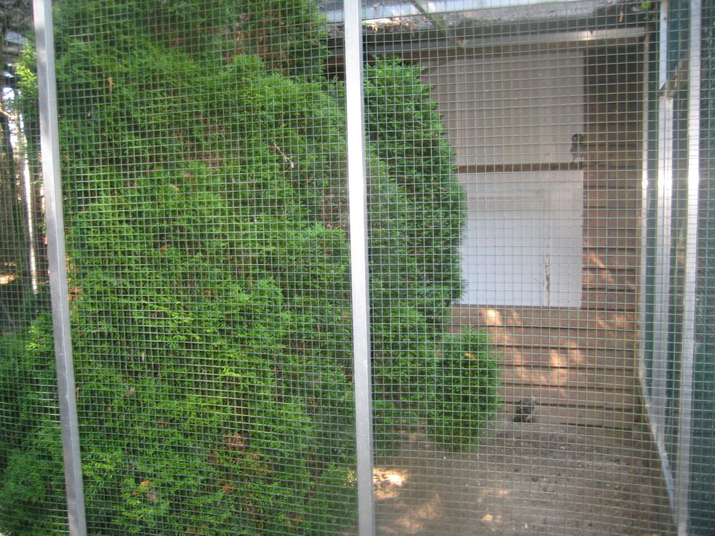 Skærup Zoo - Owl aviary #3