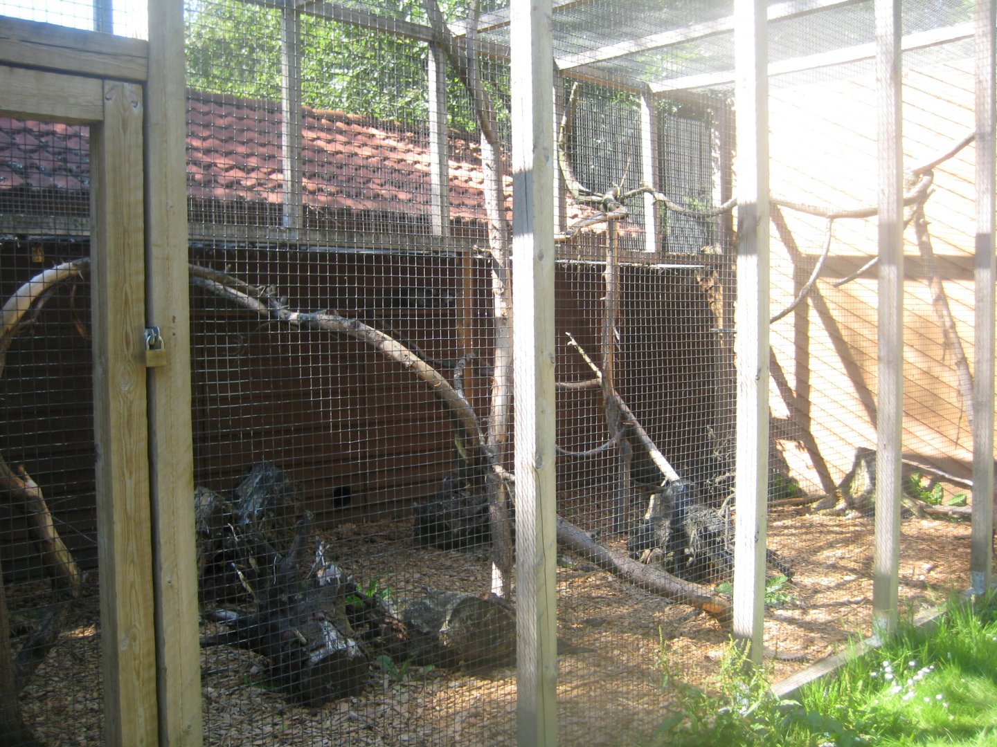 Skærup Zoo - Palm civet exhibit