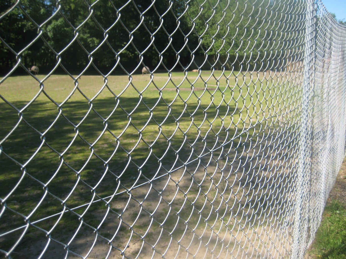 Skærup Zoo - Pampas exhibit