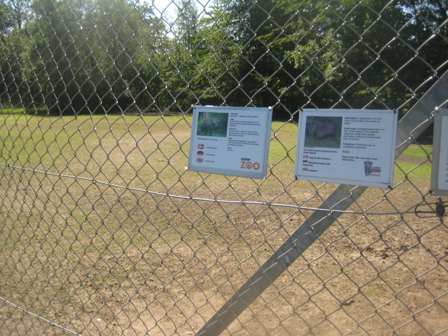 Skærup Zoo - Pampas exhibit