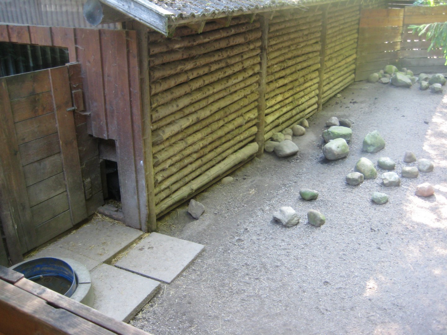Skærup Zoo - Pig exhibit