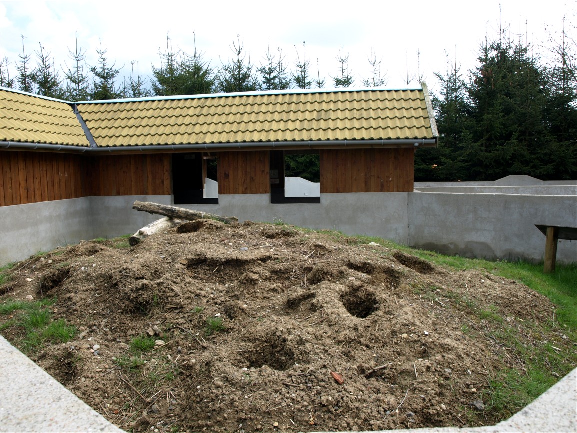 Skaerup Zoo - Prairie dog exhibit