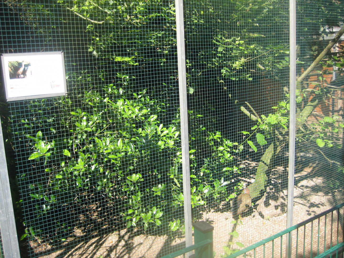 Skærup Zoo - Rail aviary