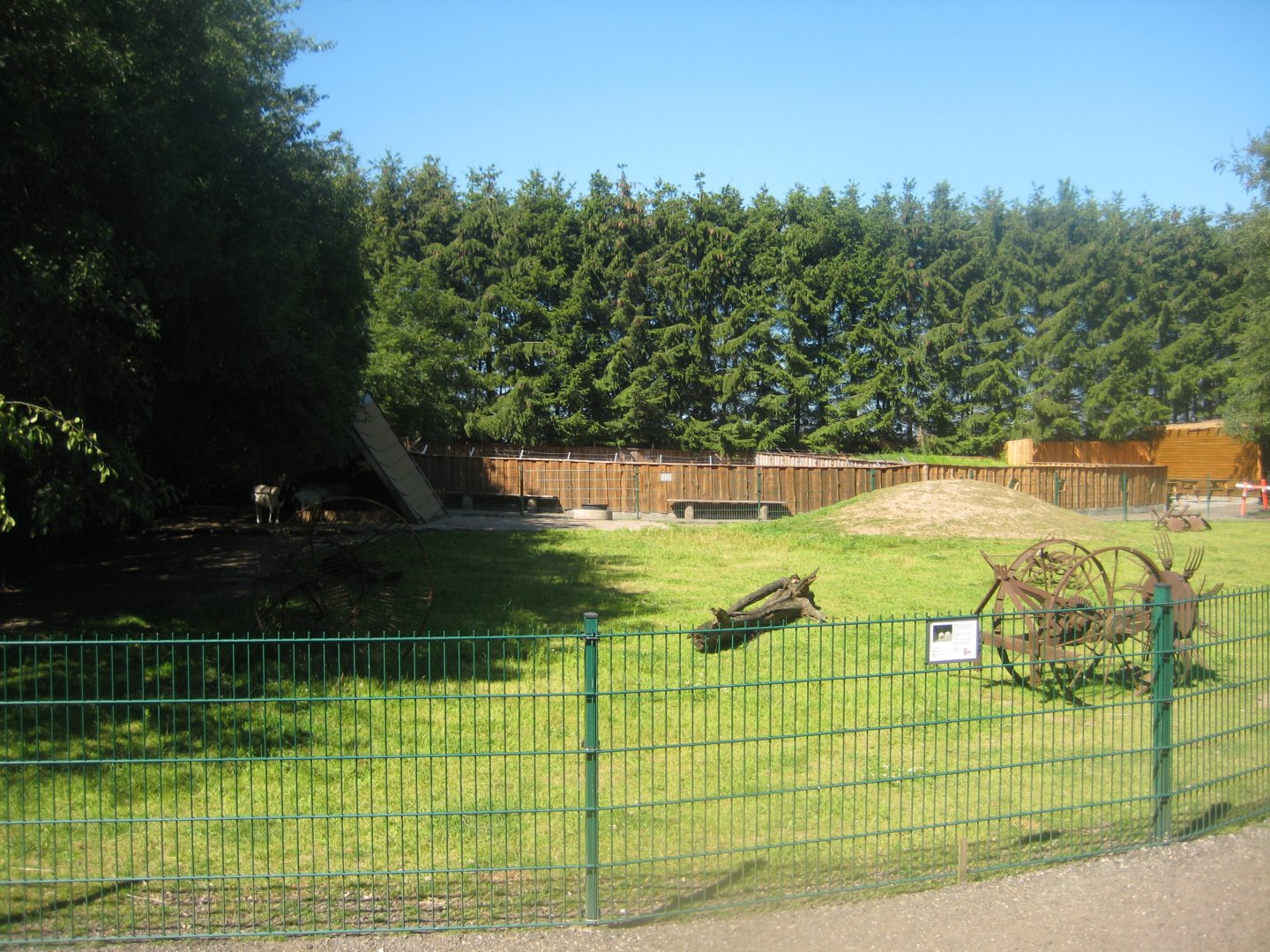 Skærup Zoo - Sheep exhibit