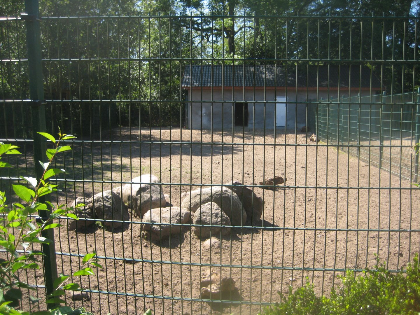 Skærup Zoo - Takin exhibit