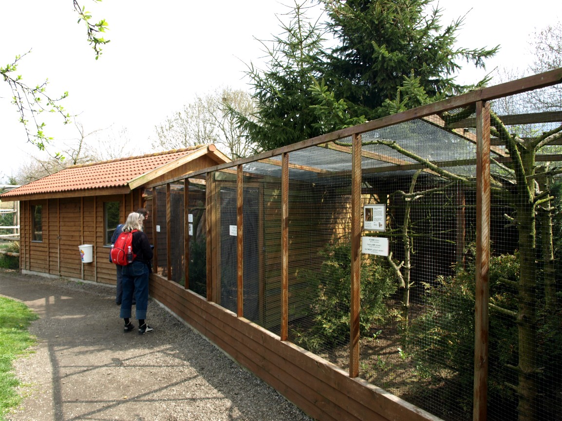 Skaerup Zoo - Tamarin exhibits
