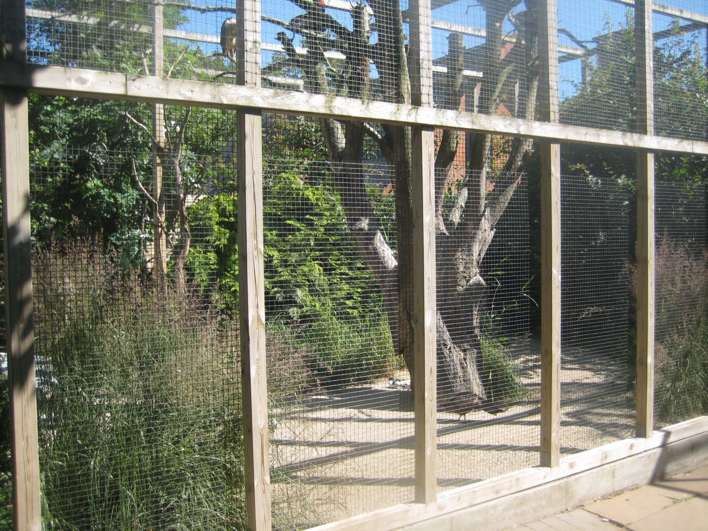 Skærup Zoo - Wader aviary
