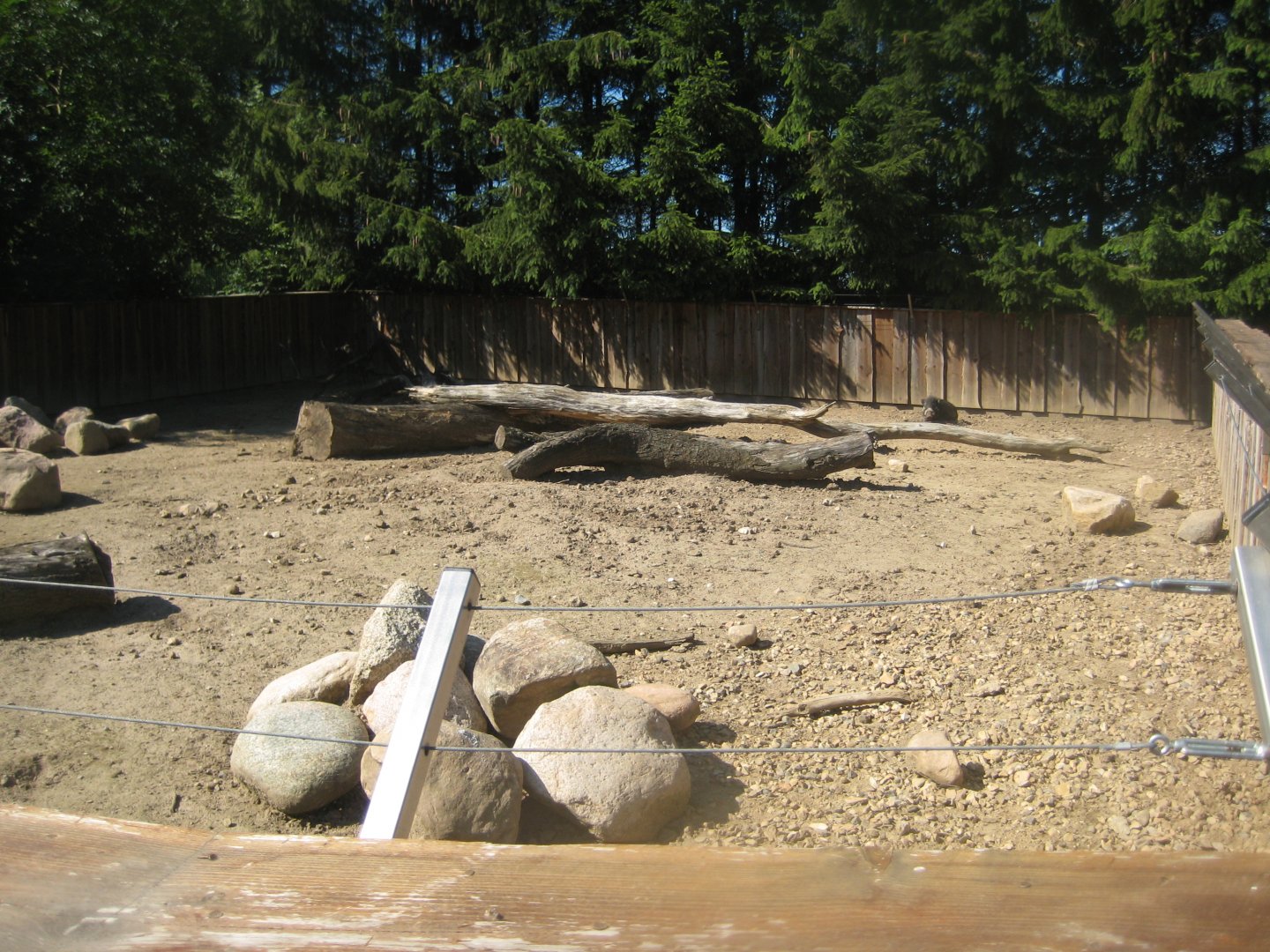 Skærup Zoo - Warty pig exhibit #1