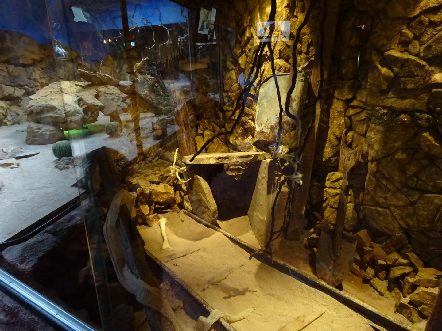 Skansen-Akvariet - Eastern diamond rattlesnake exhibit