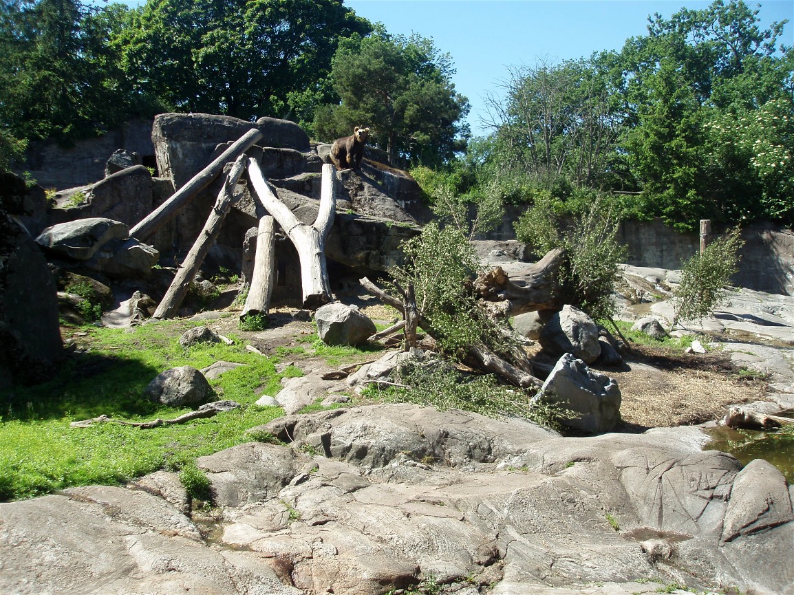 Skansen - Bear exhibit