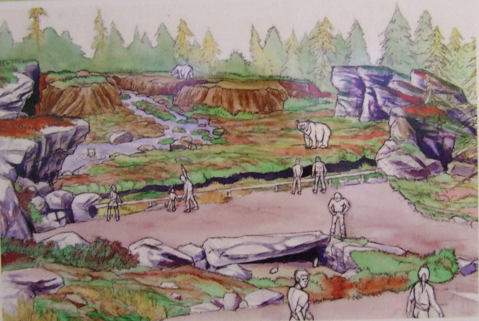 Sketch, Polar Bear exhibit, Arctica