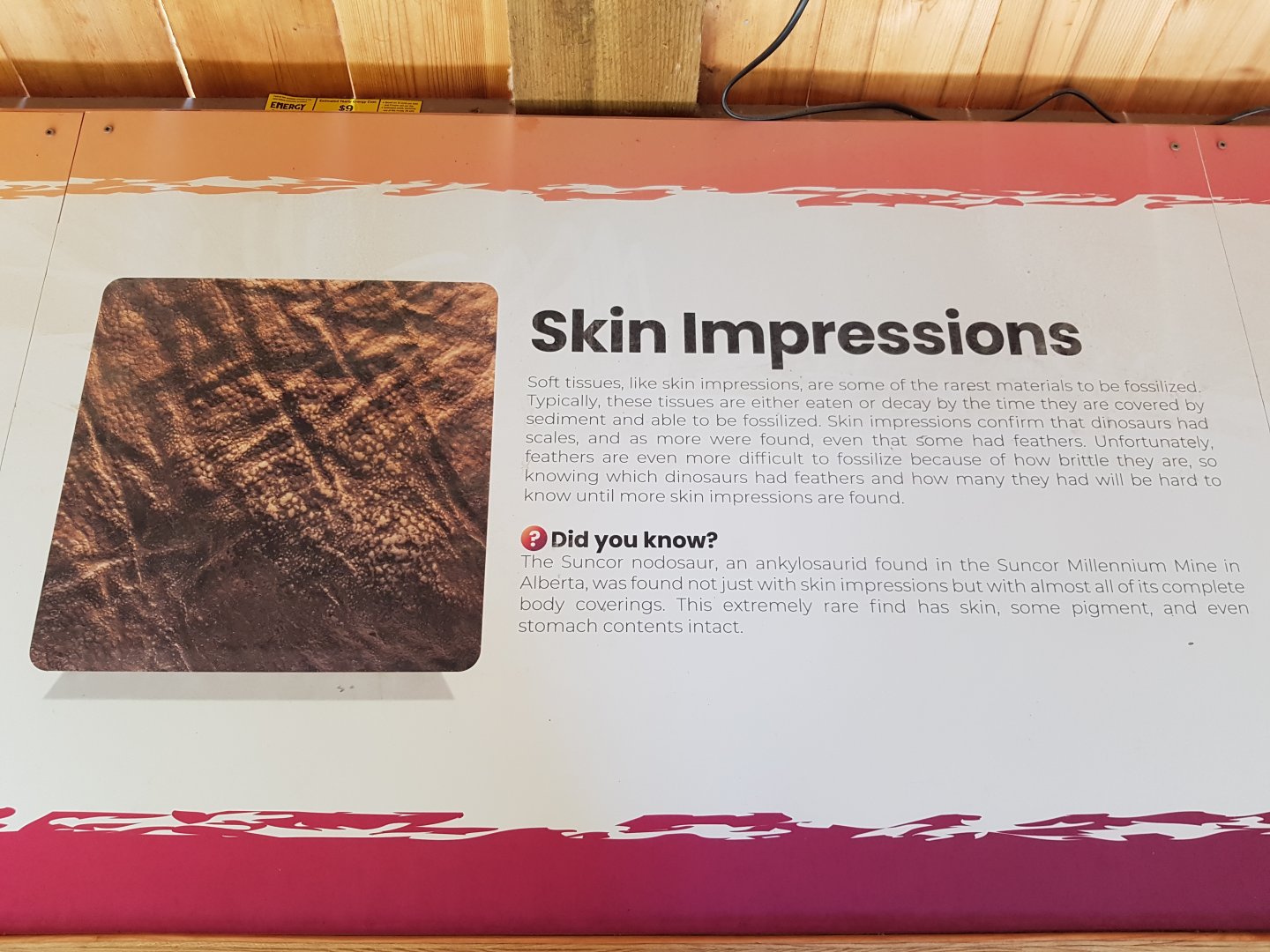 Skin Impressions Sign