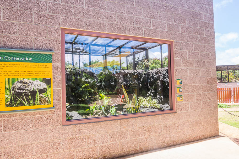 Skink and tortoise exhibit