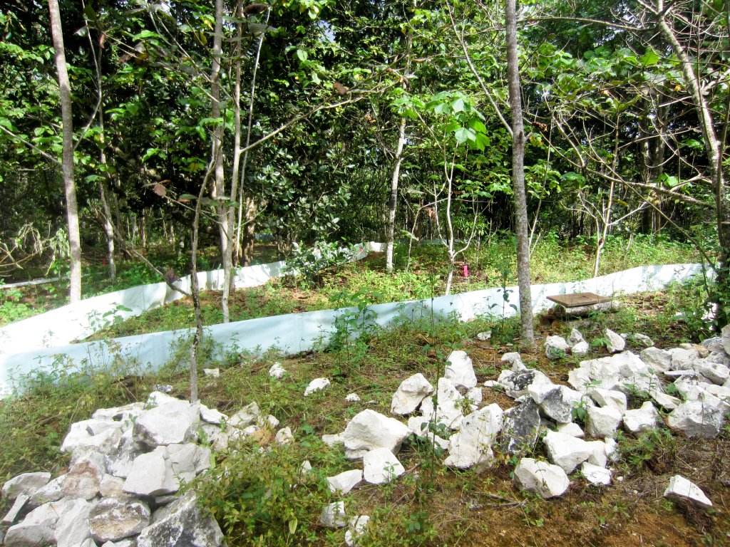 Skink soft release enclosure