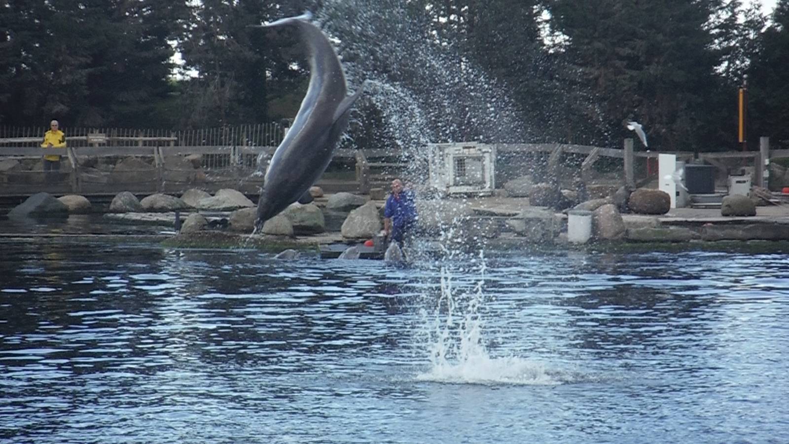 Skinny - 53 years old!