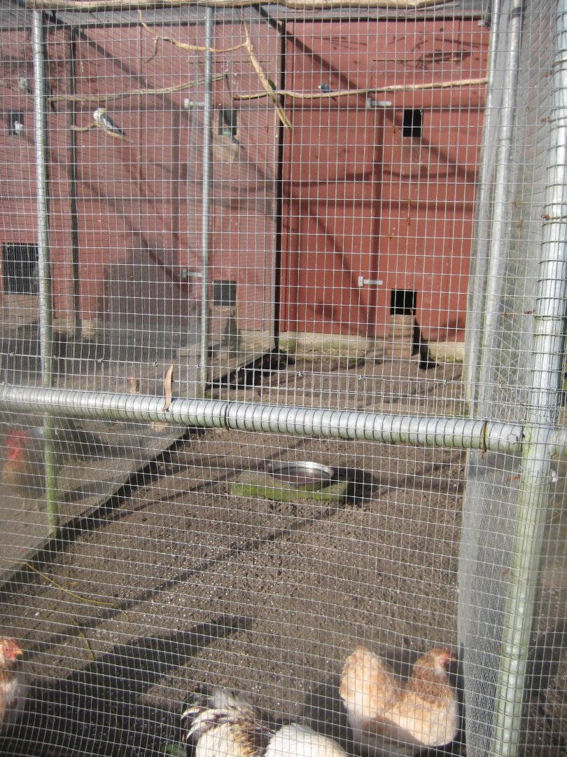 Skive Anlæg - Aviary #2