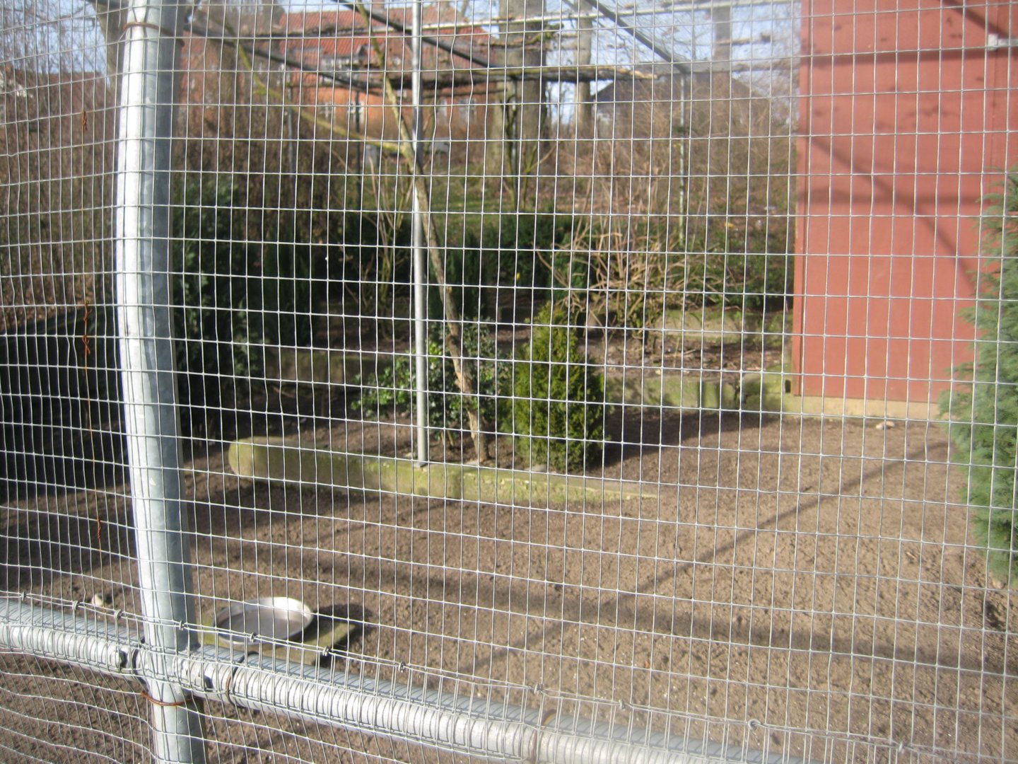 Skive Anlæg - Aviary #4