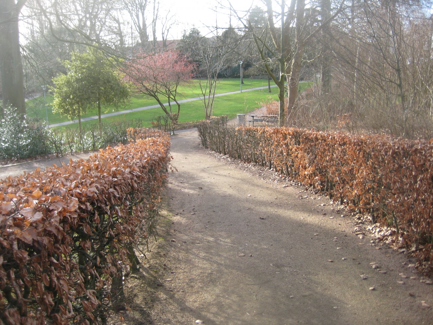 Skive Anlæg - General view