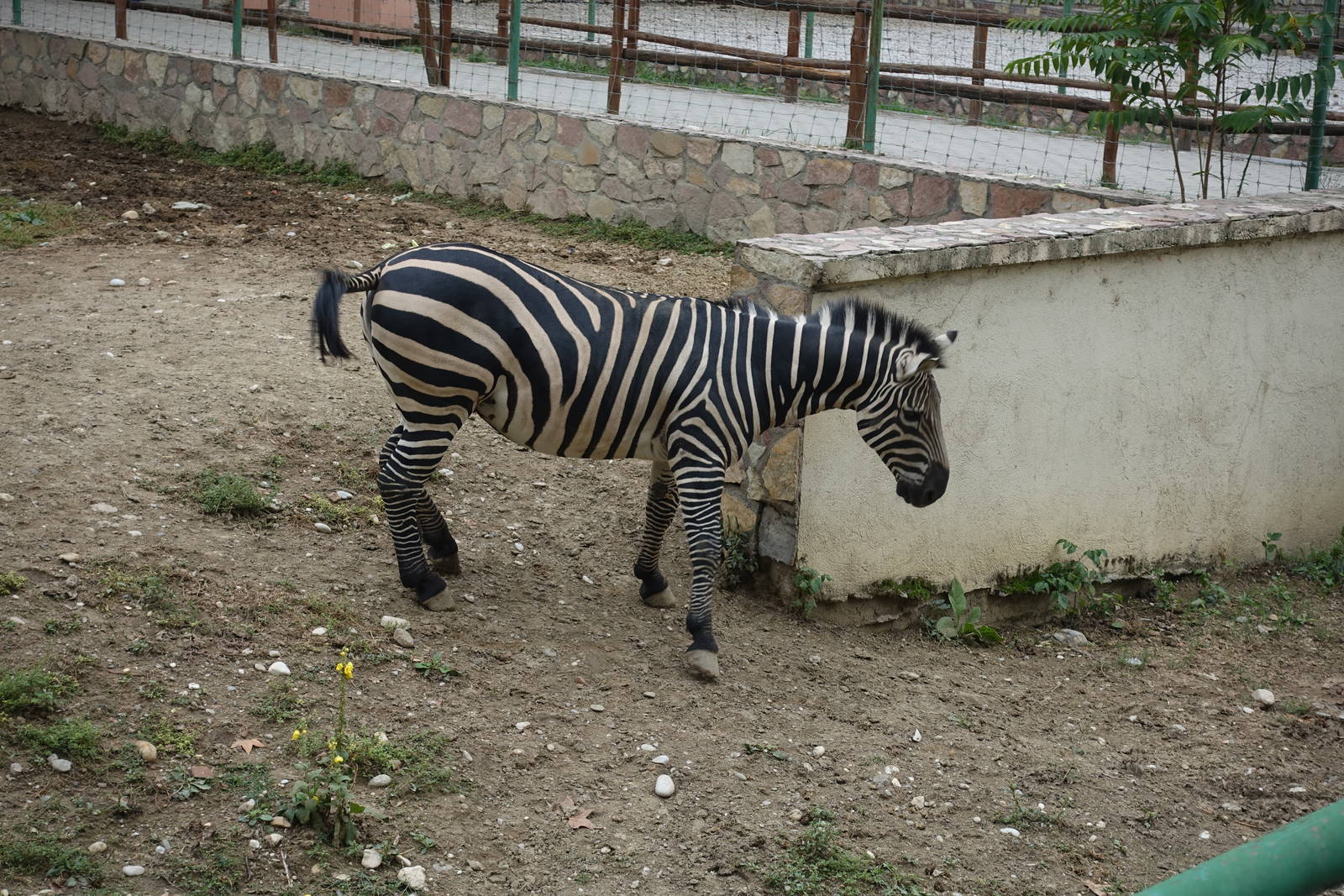 Skopje Zoo 26.9.15