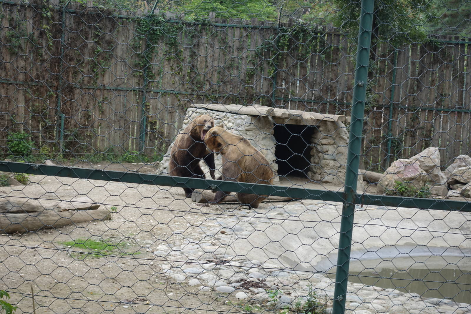 Skopje Zoo 26.9.15
