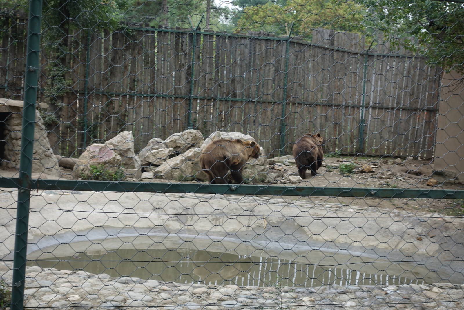 Skopje Zoo 26.9.15