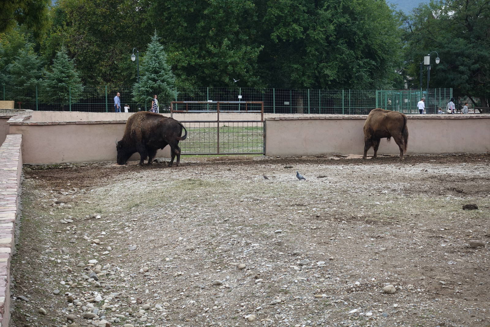 Skopje Zoo 26.9.15