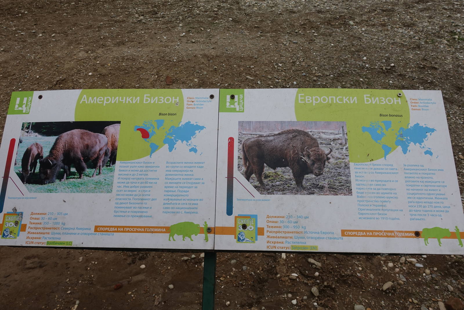 Skopje Zoo 26.9.15