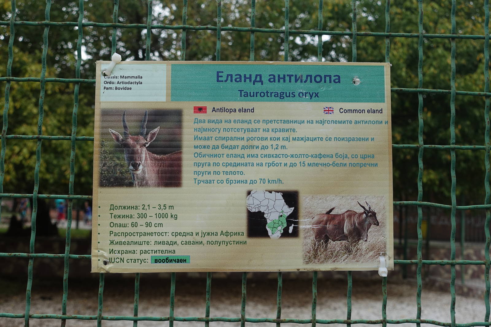 Skopje Zoo 26.9.15