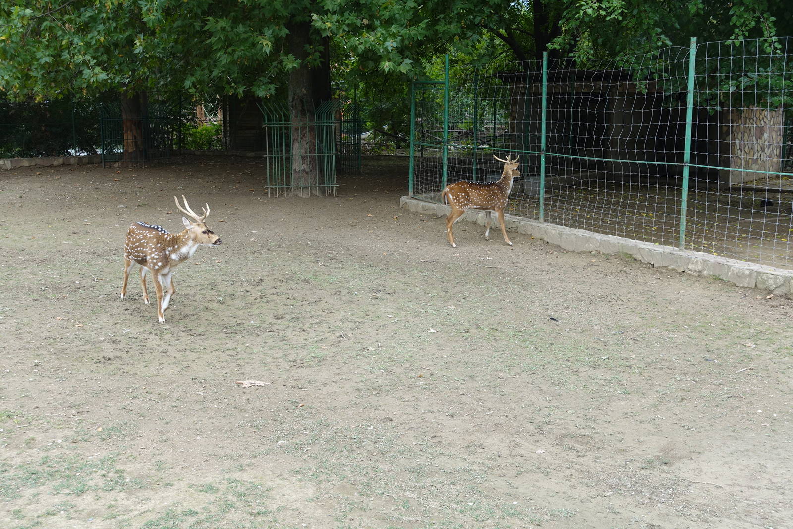 Skopje Zoo 26.9.15