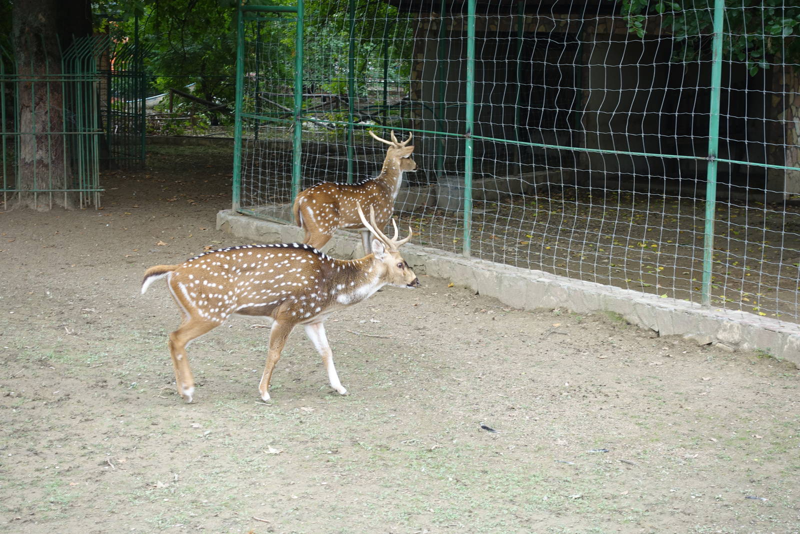 Skopje Zoo 26.9.15