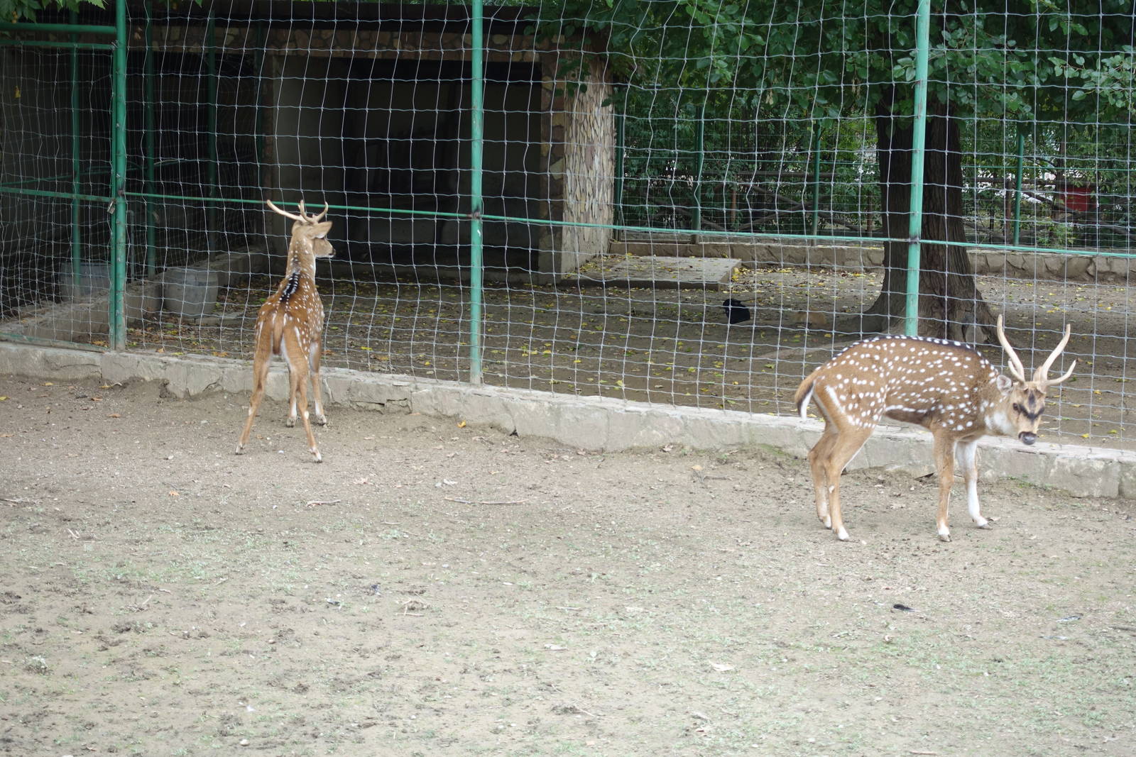 Skopje Zoo 26.9.15