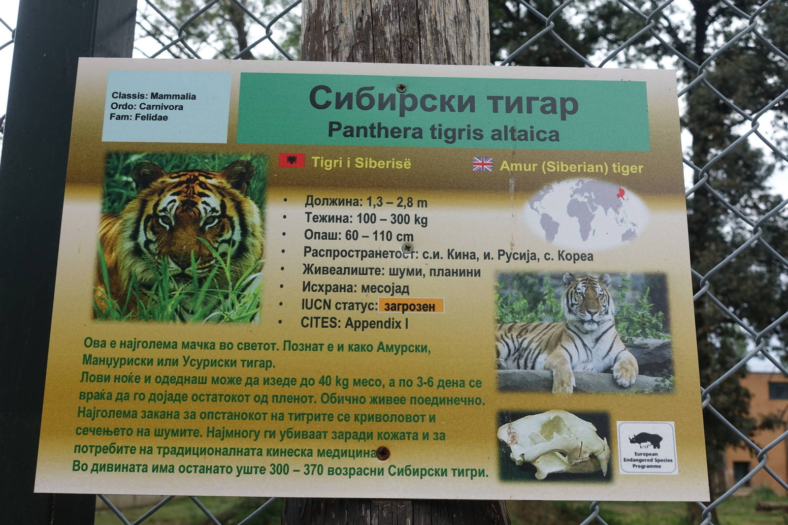 Skopje Zoo 26.9.15