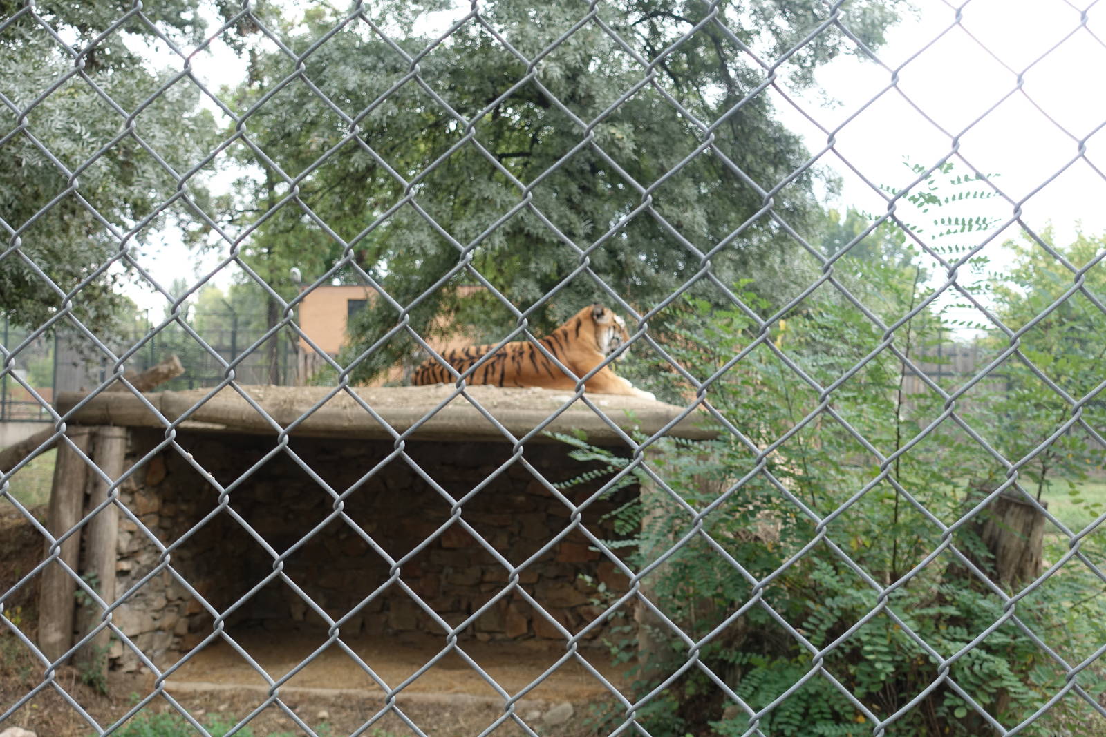 Skopje Zoo 26.9.15