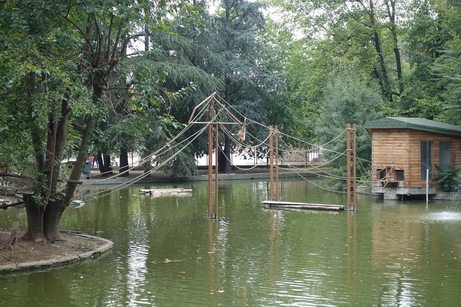 Skopje Zoo 26.9.15
