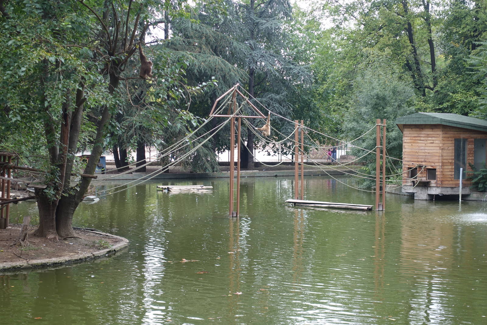 Skopje Zoo 26.9.15