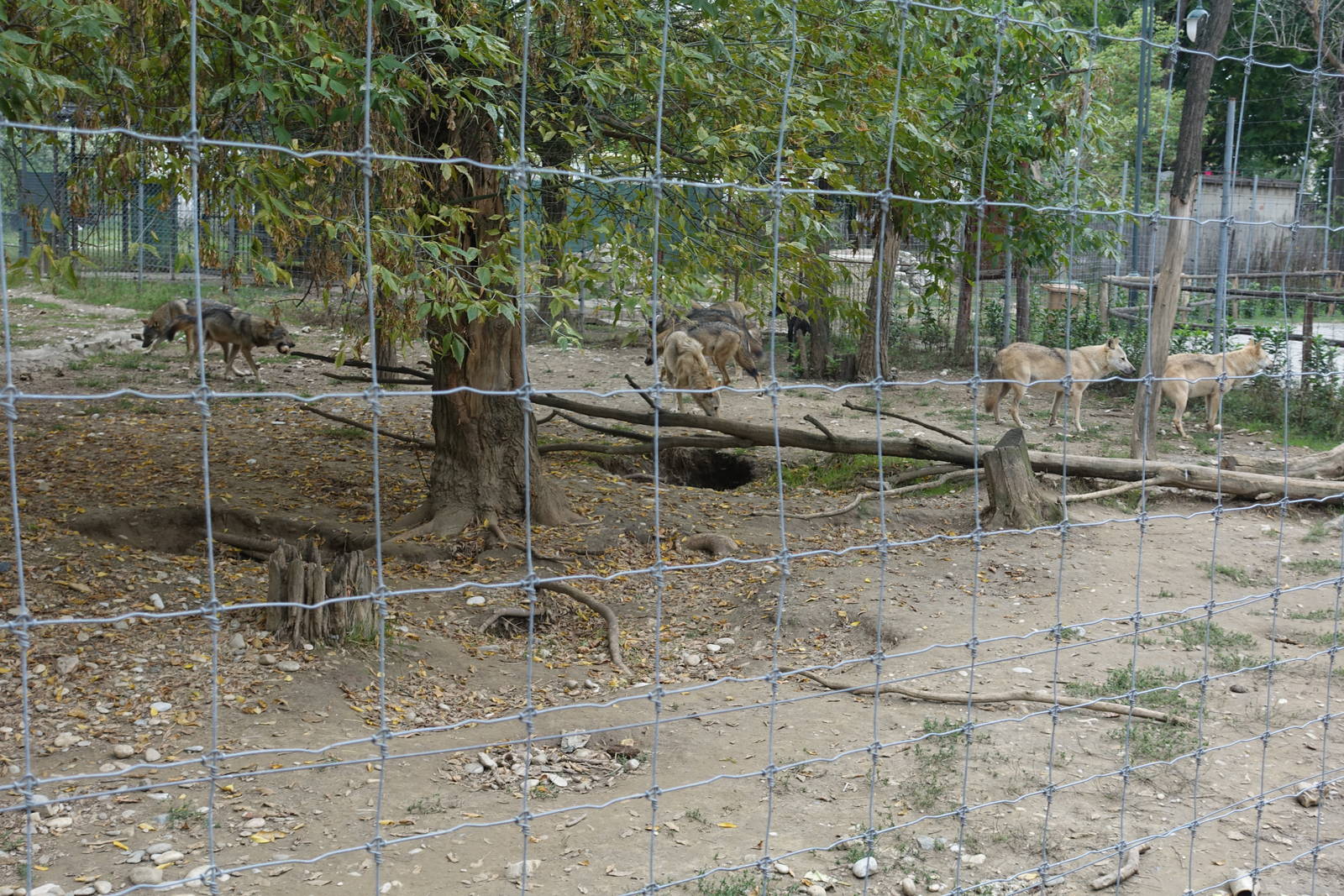 Skopje Zoo 26.9.15