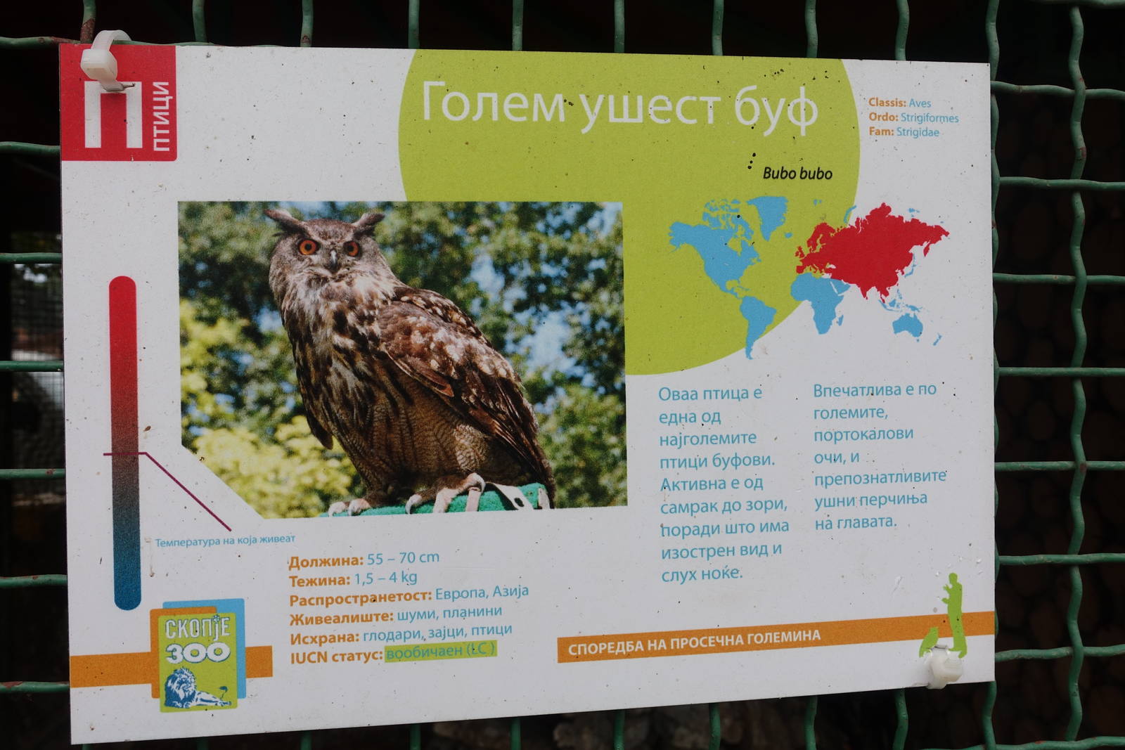 Skopje Zoo 26.9.15