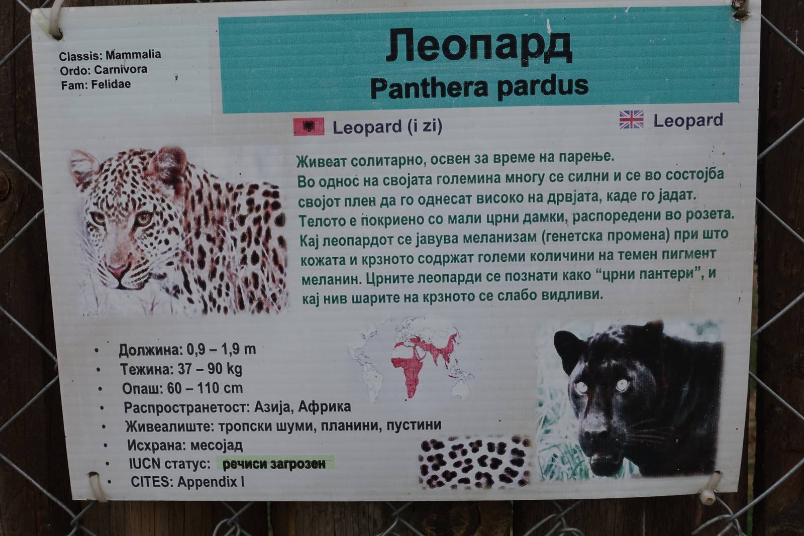 Skopje Zoo 26.9.15