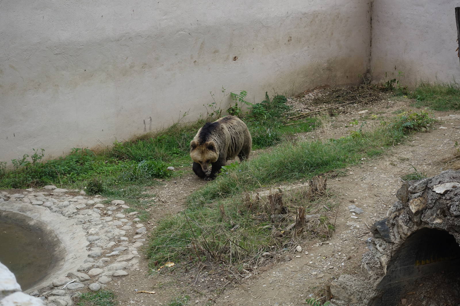 Skopje Zoo 26.9.15