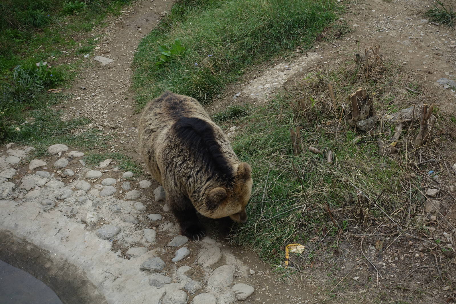 Skopje Zoo 26.9.15