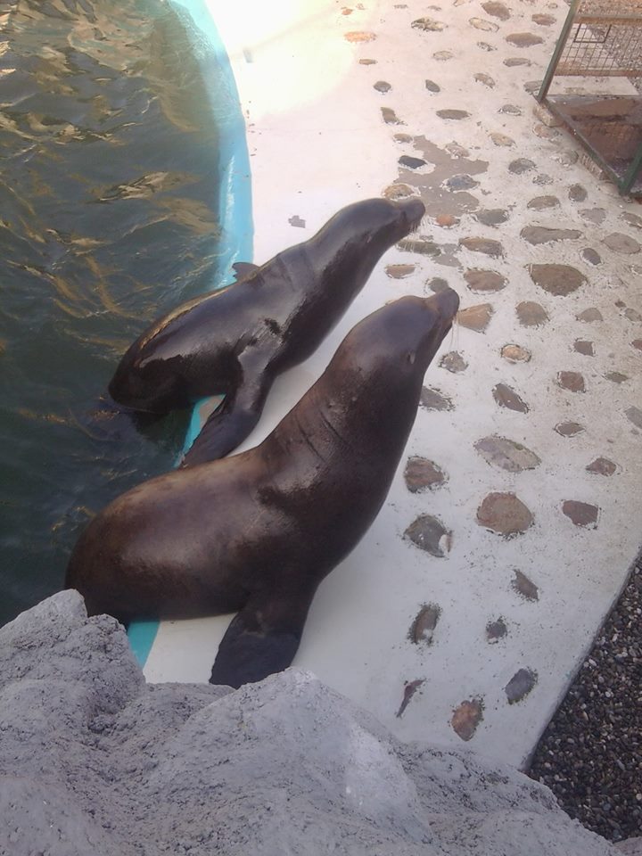 Skopje zoo & Bitola zoo